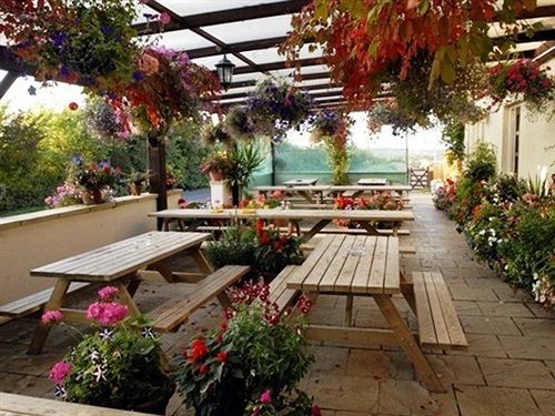 The Flying Fish Stables Отель Илминстер